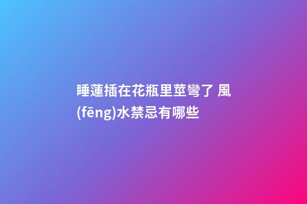 睡蓮插在花瓶里莖彎了 風(fēng)水禁忌有哪些